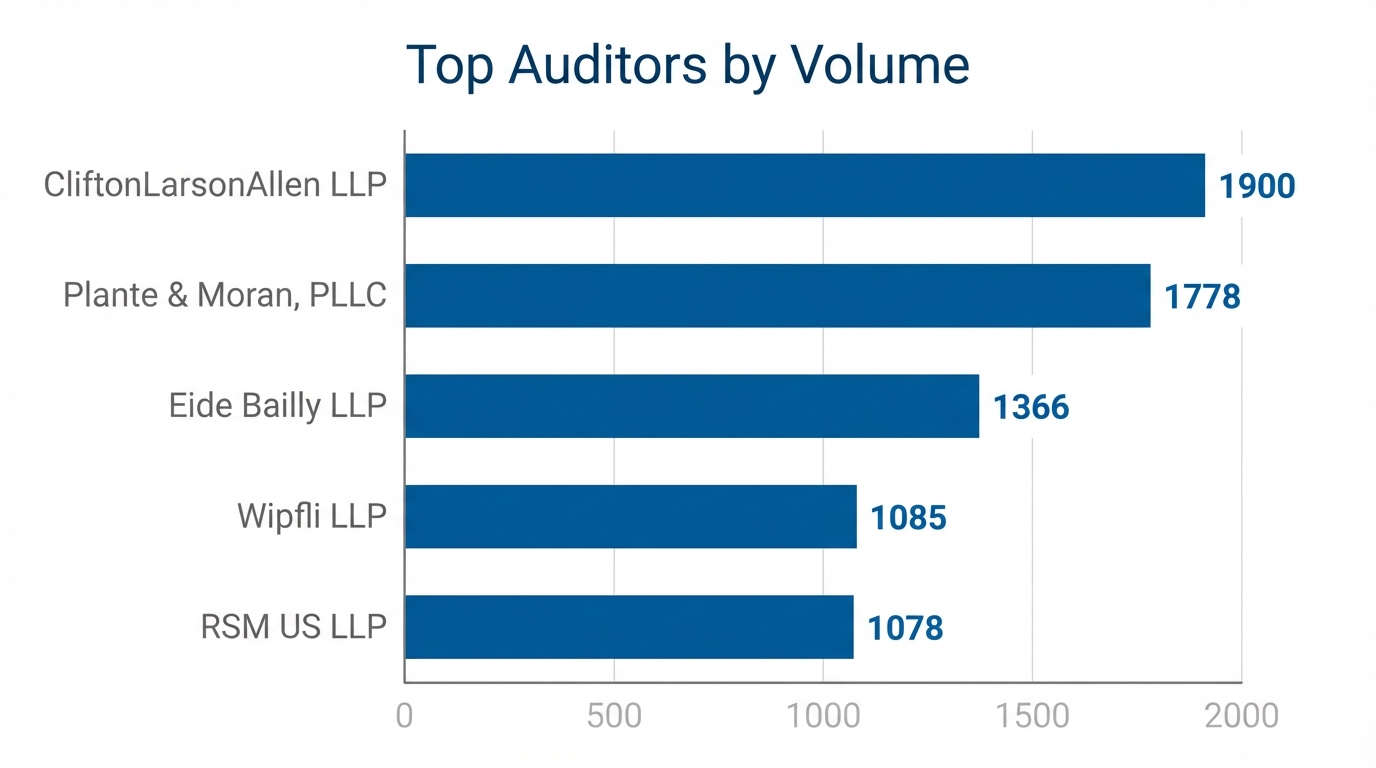 Top Auditors Chart
